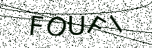 L’image captcha
